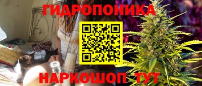 дурь Кингисепп